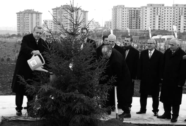 Bir strateji, iki inşaat, üç ağaç