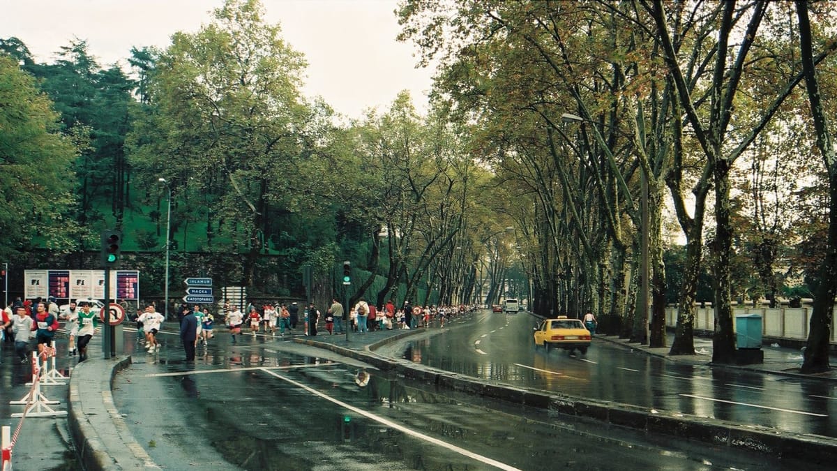 Yürürken neden ağaçlı sokakları tercih ederiz?