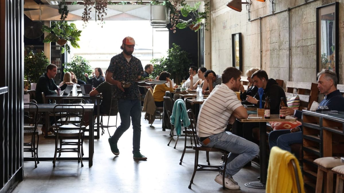 Algoritmanın tiranlığı: Neden kahve dükkanlarının hepsi aynı?