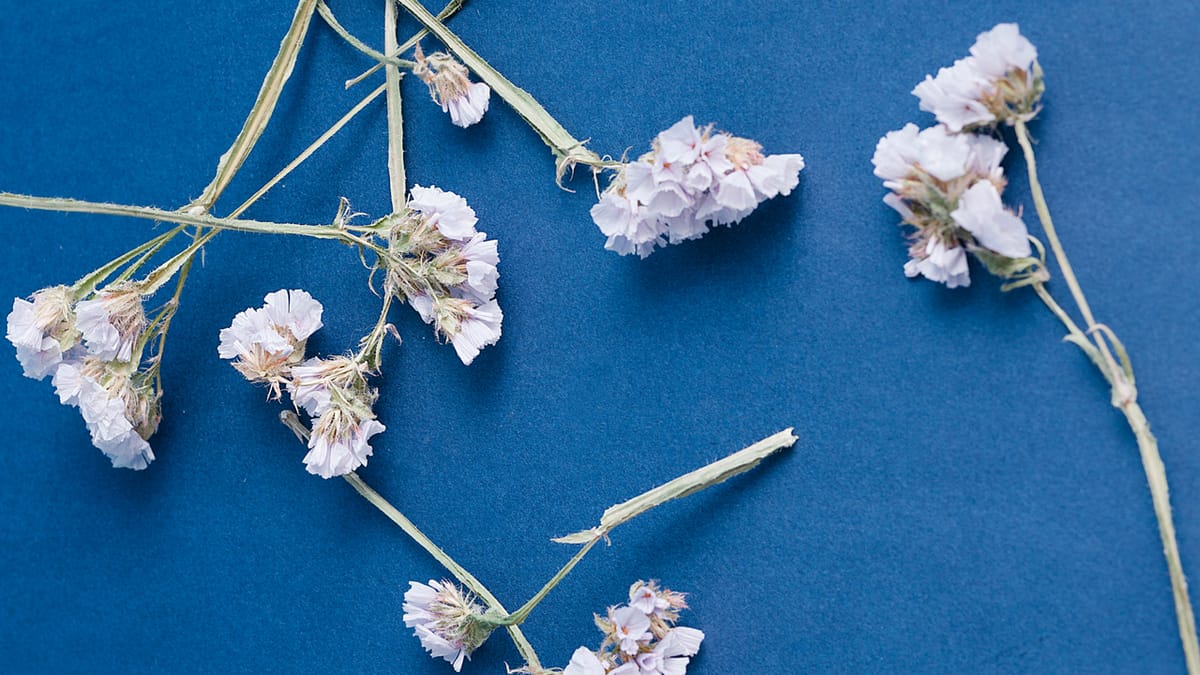 Arabesk yeniden yükseliyor