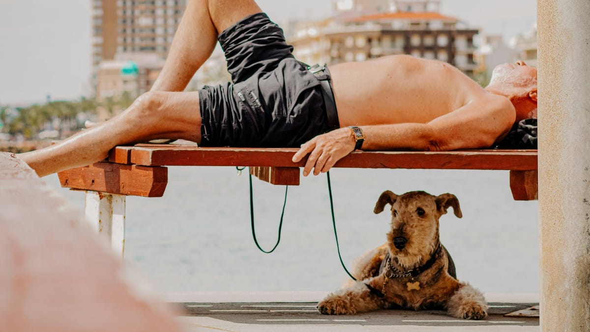 İnsan-hayvan ilişkilerinin yeniden tanımlanması: Kültürel ve etik bir yüzleşme