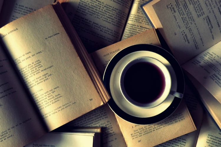 Meczup edebiyatı nedir?