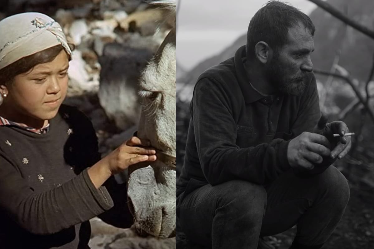 Başka bir dünyanın ihtimali: 1979'dan günümüze orman işçileri