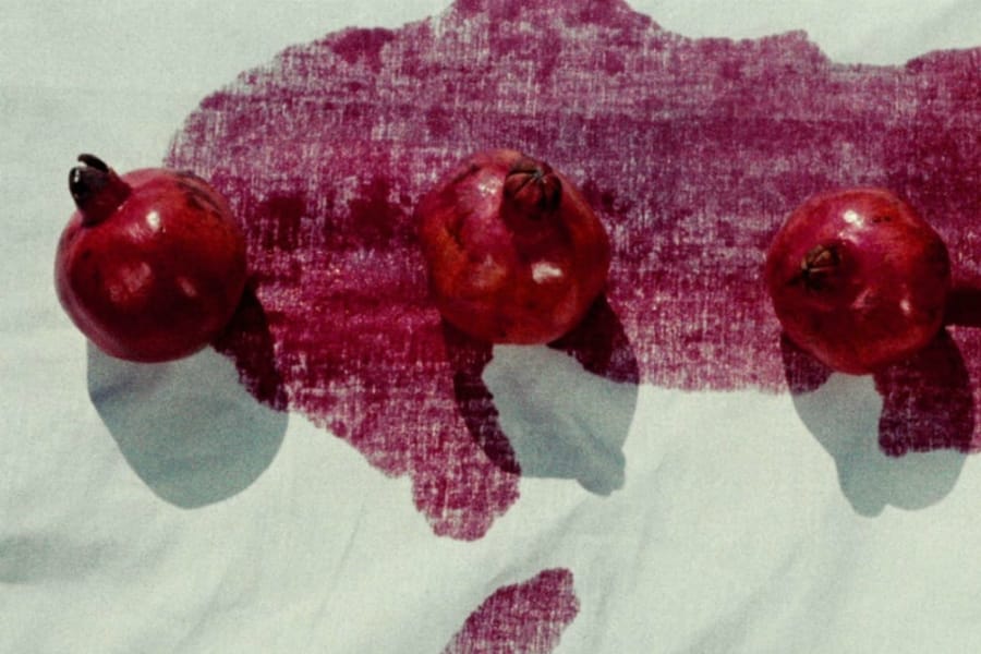 Narın Rengi, Bereketi, Kaderi: Sergey Parajanov