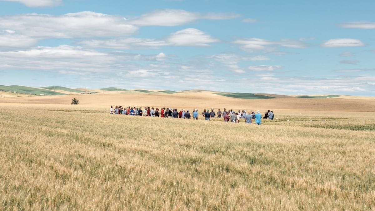 Şiddetin yalnızca tanığı mıyız?