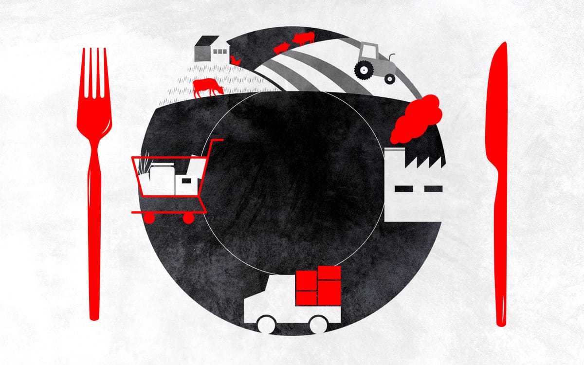 Türkiye’de gıda tedarik zincirlerinin ahvali: Yemek yemek politik midir?