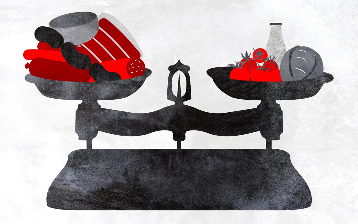 “Kapitalizm birini seçmemizi istiyor: Çiftçi geçinemesin mi, yoksa birileri aç mı kalsın?”