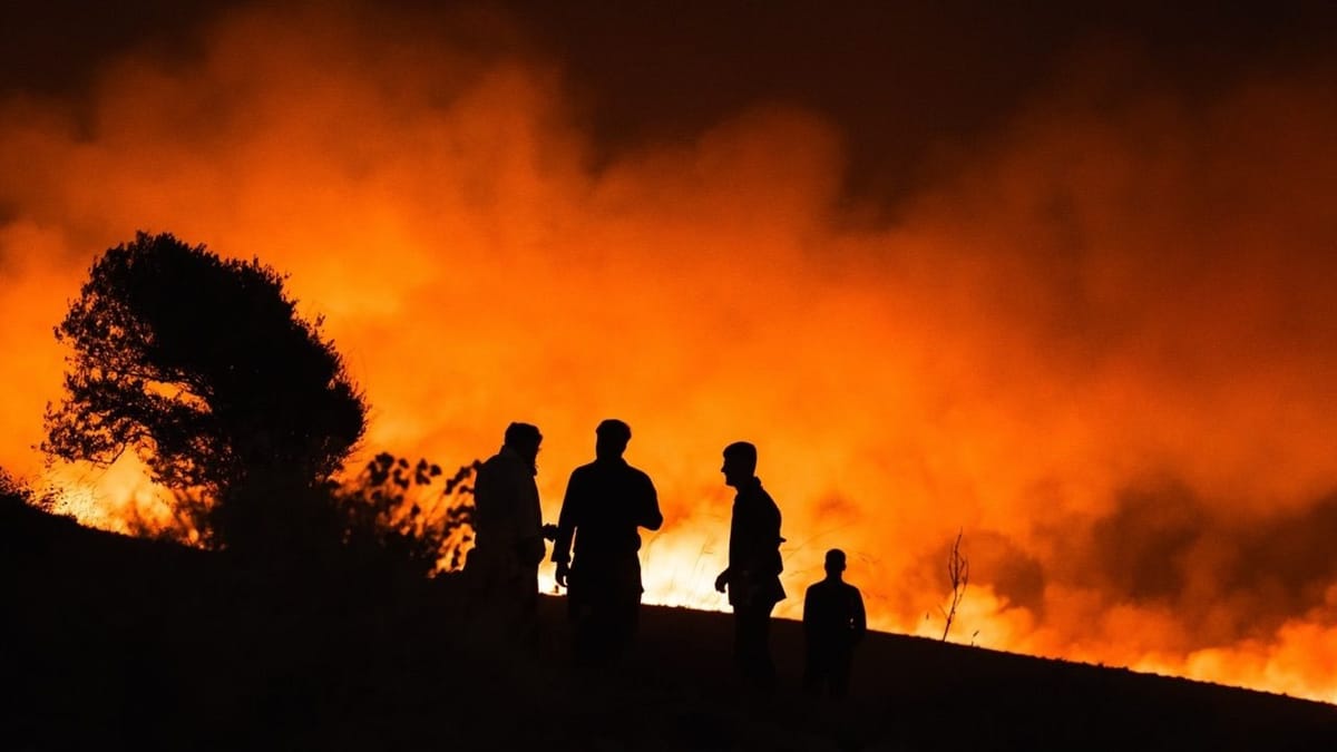 Yangınları kim çıkarıyor?