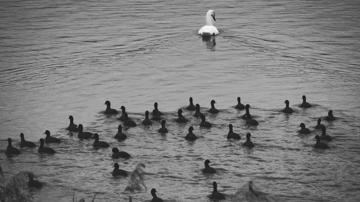 Yapay zeka düşüncelerimizi nasıl tekdüzeleştiriyor?