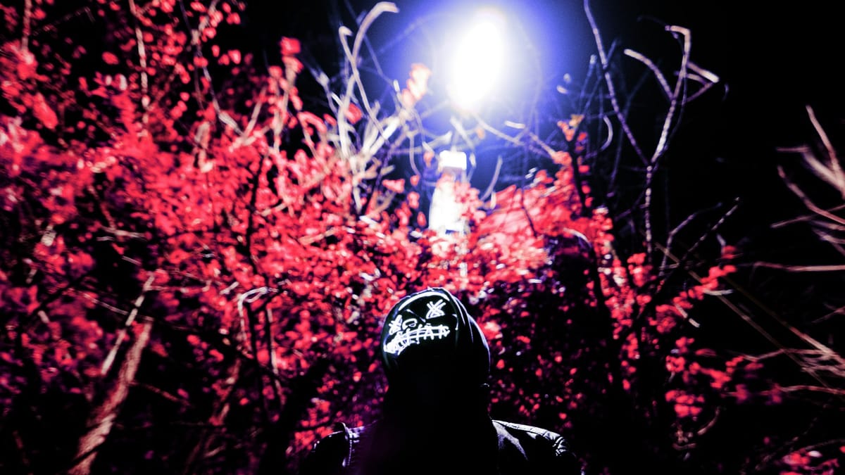 Yeni nesil çeteler, yeni nesil suç estetiği