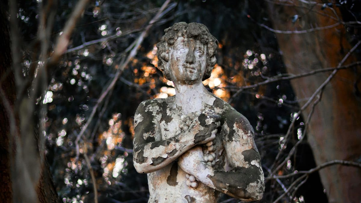 Yeterince kötümser olmamak