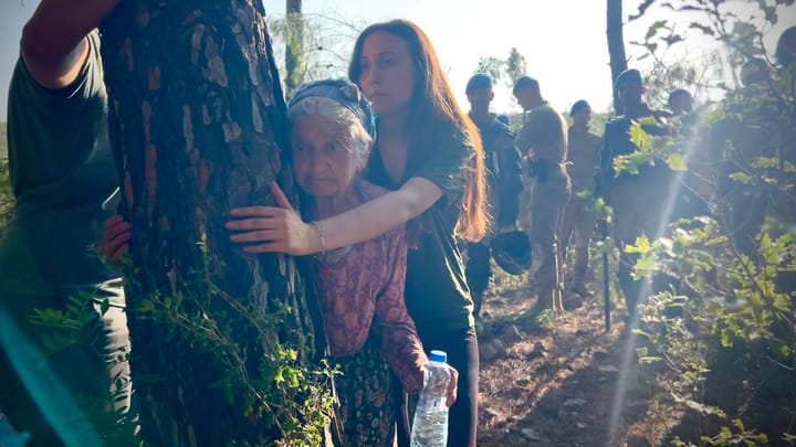 Akbelen Ormanı, İkizköy, Milas, Muğla, 2023. Fotoğraf: Selen Çatalyürekli.