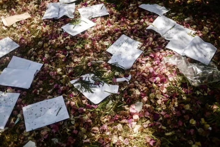 İsrail'in 2 Ağustos 2014'te Gazze'ye düzenlediği hava saldırısında hasar gören Gazze İslam Üniversitesi'nin bahçesinde etrafa