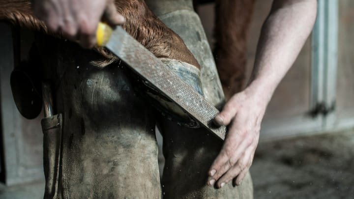 Hangi potansiyeli harcıyoruz?
