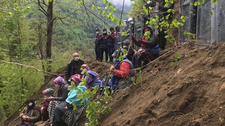 Karadeniz’deki sessiz istila: Madenler
