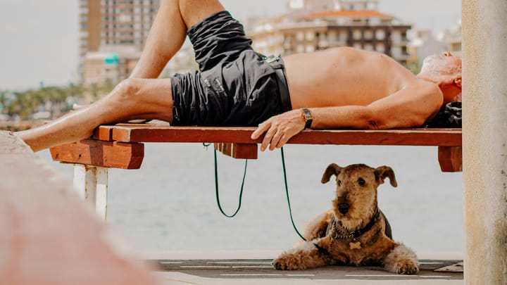 İnsan-hayvan ilişkilerinin yeniden tanımlanması: Kültürel ve etik bir yüzleşme