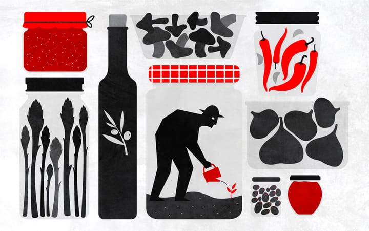 "Alternatif gıda hareketinin bireysel, apolitik bir alana dönüşme eğilimi var"