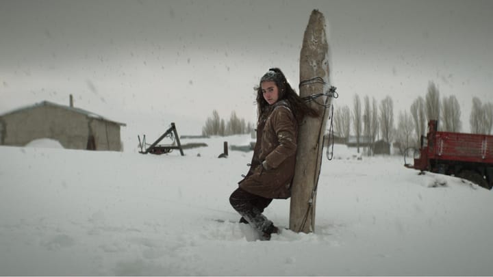 KURU OTLAR ÜSTÜNE (Nuri Bilge Ceylan, 2023).