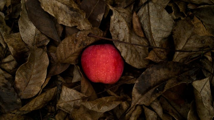 Bir hayal gücü krizi: Metaforun erozyonu