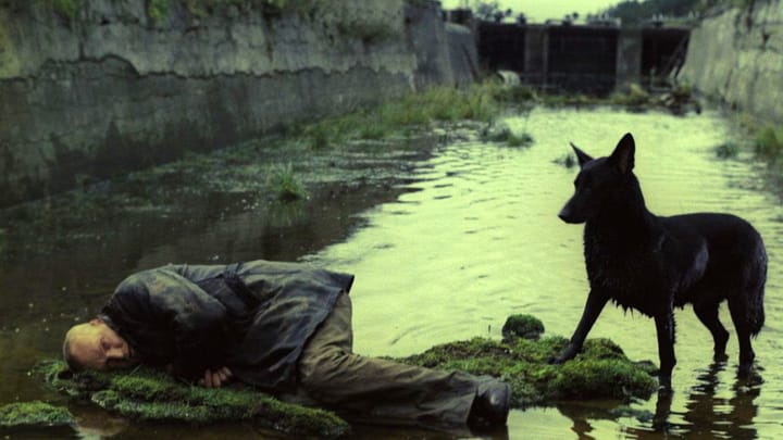 STALKER (Andrey Tarkovski, 1979).