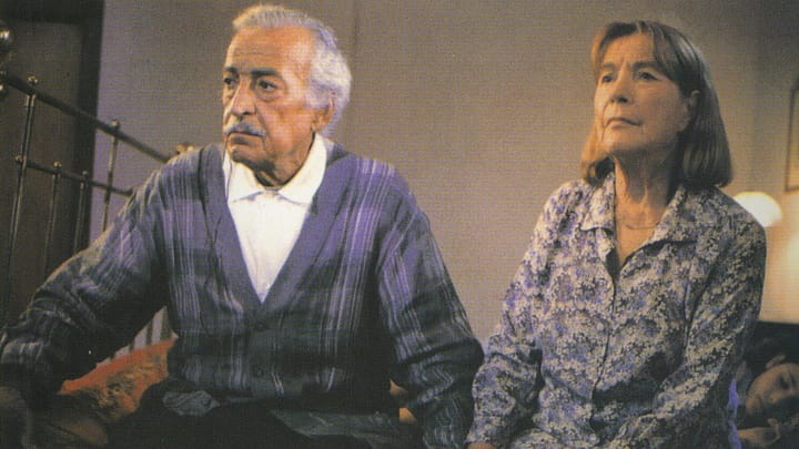 YENGEÇ SEPETİ (Yavuz Özkan, 1994).